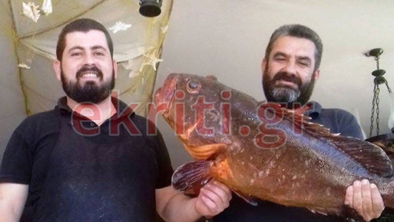 Ψαροντουφεκάς στην Κρήτη «χτύπησε» ροφό 10 κιλών – Δείτε εικόνες
